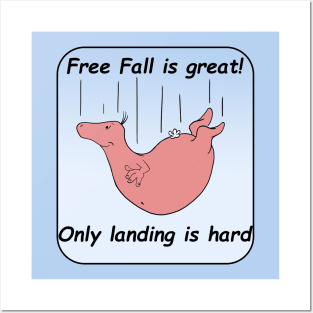 Free Fall Posters and Art